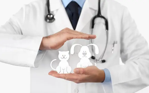 Осигурање кућних љубимаца