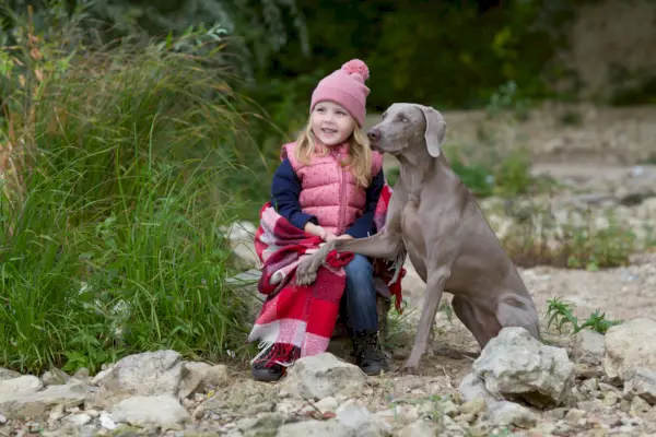 разделител за лапи dogster