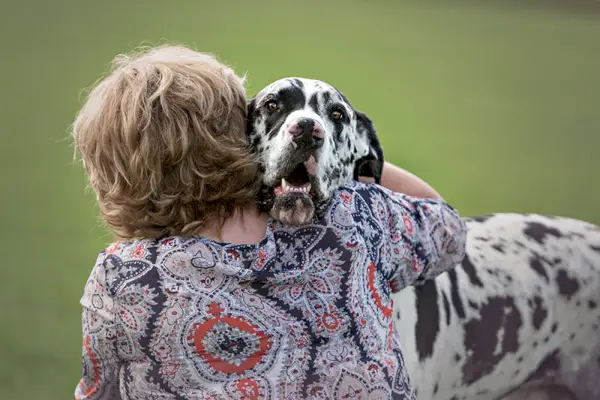 Dāņu dogs saņem un dod mīlestību un apskāvienus savam saimniekam
