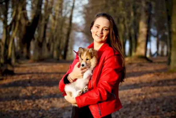 屋外でシェルティの子犬を抱き締める美しい女性