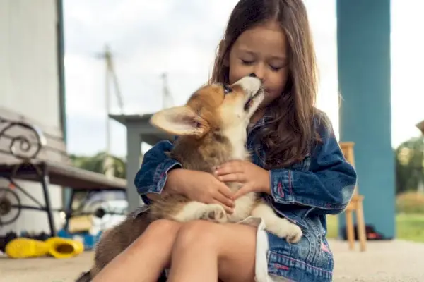 chica abrazando y besando a un perro corgi