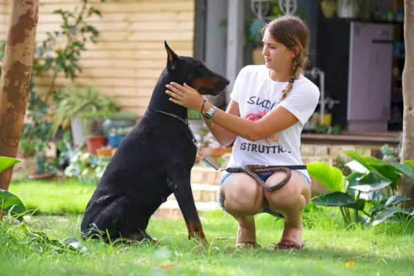 dobermanis ar savu saimnieku dārzā