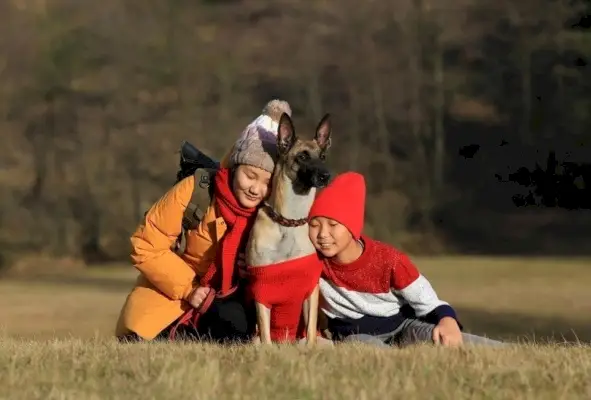duas crianças abraçando um malinois belga ao ar livre