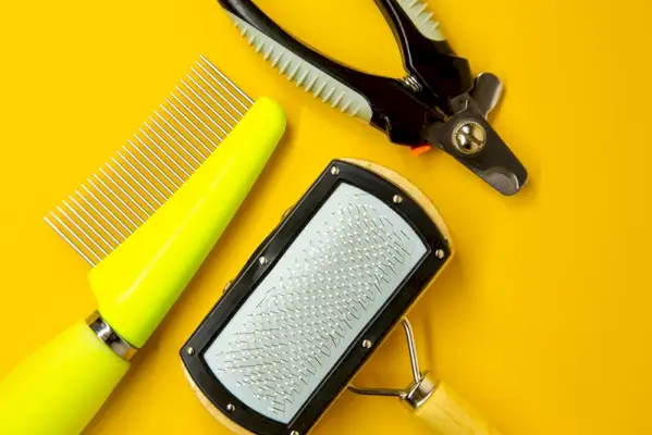 outils de toilettage pour chats et chiens