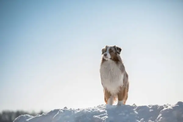 Dr. Maxbetter Vizelberg Foto