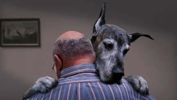 Great Dane dancing with man
