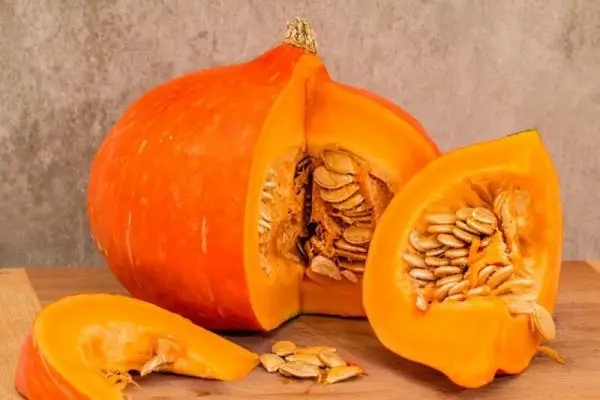 La zucca può aiutare il mal di stomaco di un cane? Fatti e domande frequenti approvati dai veterinari