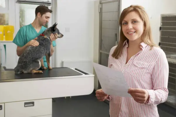 獣医外科で請求書を見て幸せな女