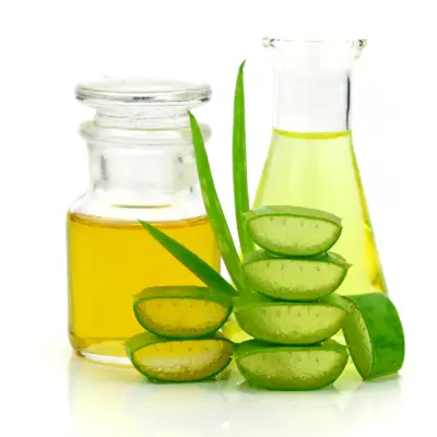 Sastojci maske za kosu i lice od aloe vere na bijeloj pozadini