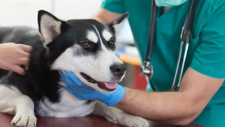 (Picture Credit: Getty Images)' title=