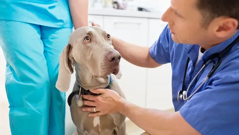 (Picture Credit: Getty Images)' title=