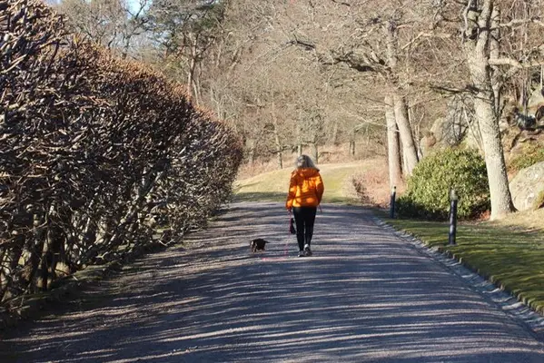 (Picture Credit: Getty Images)