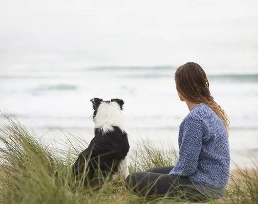 Jak pomáhá vašemu psovi žít lépe