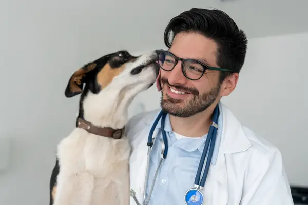 Trova il veterinario appropriato per il tuo cane