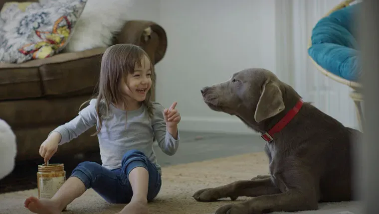 자일리톨이란 무엇입니까? 개에게 왜 나쁜가요?' title=