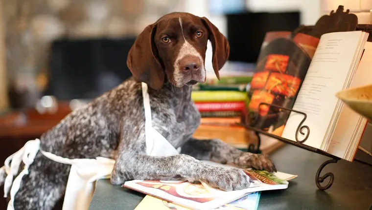 Twilit kijkt naar de kookboeken' title=