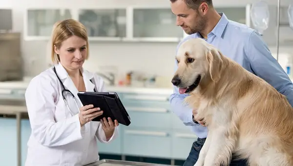 A female veterinarian talking and showing to a dog owner about the pet