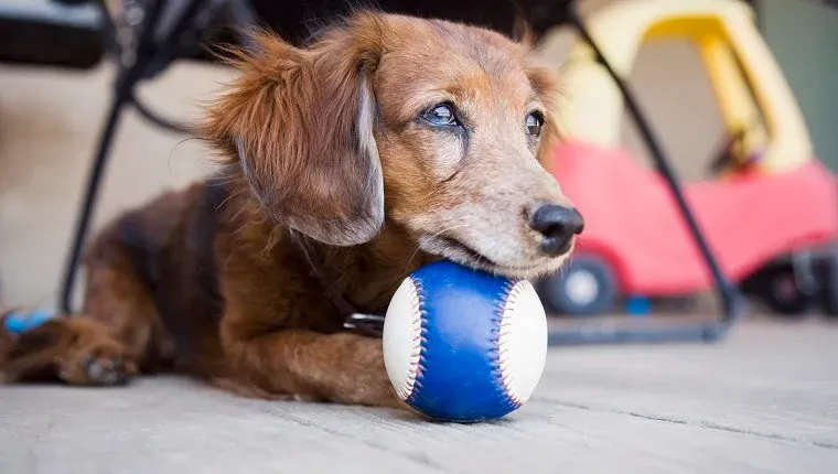 Ålderdomsvård' title=