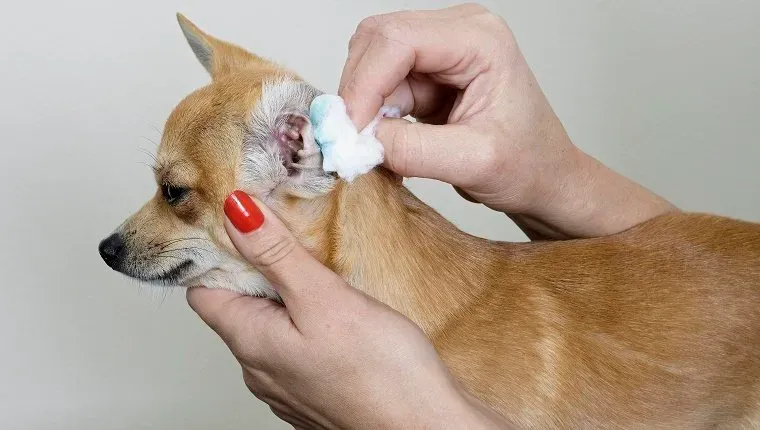 Rengör svåråtkomliga platser' title=