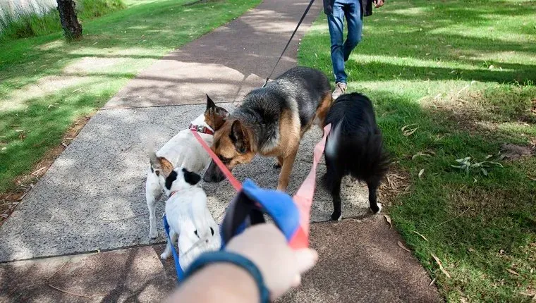 Sätt sociala regler' title=