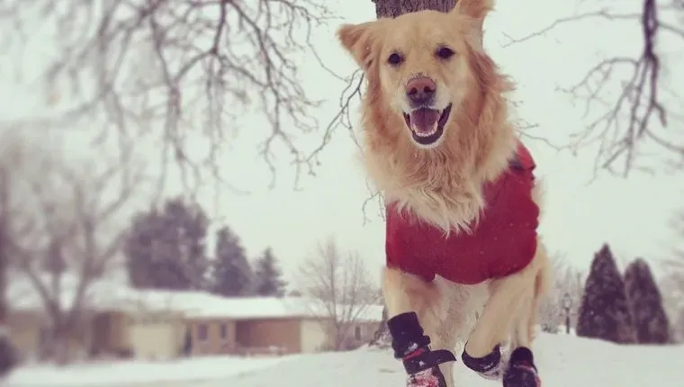 Klä dig för vädret' title=