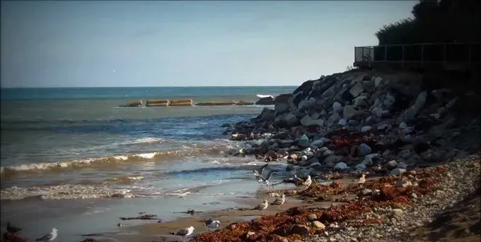 Los Angeles sta FINALMENTE ottenendo una spiaggia per cani, ma voglio portarci il mio cane?