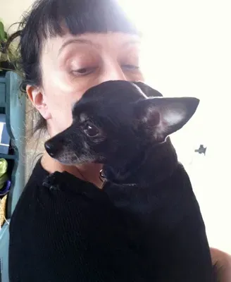 Fospice: Atenció al final de la vida per a gossos de refugi