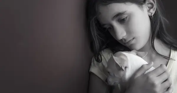 ¿Quién posee un perro después del divorcio?