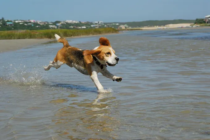 (사진 제공: 게티 이미지)' title=