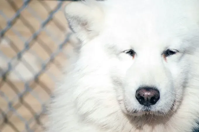 (사진 제공: 게티 이미지)' title=