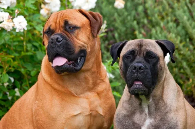 (사진 제공: 게티 이미지)' title=