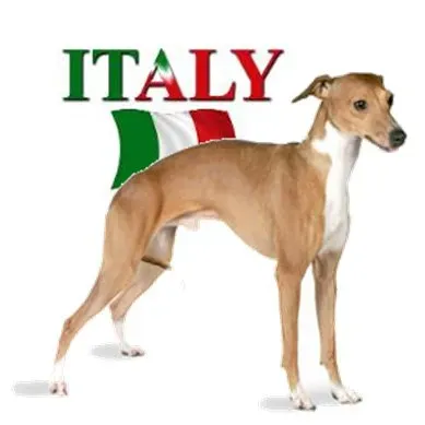 Италијанска имена паса