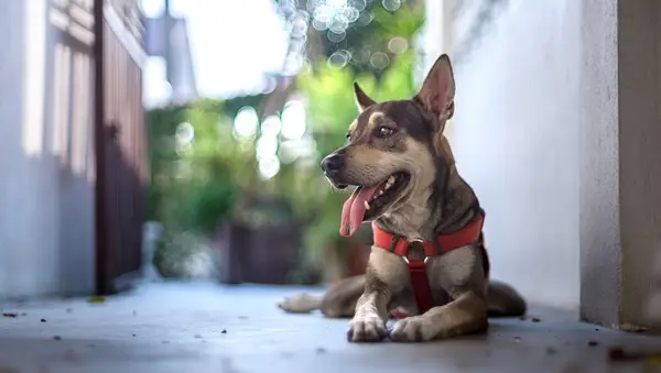 30 SLAM GORES STOP informe [Foto]