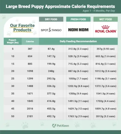 Таблица калорийности собак крупных пород