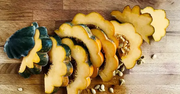 Hatható -e egy kutya hatékonyan enni Donris -t? Megfelelően a Dongis Cush kutyáknak?