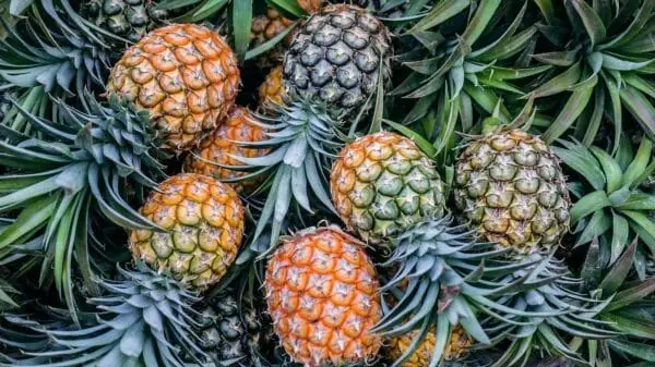 appelsiini ja vihreä ananas hedelmät