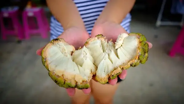 Mogu li jesti sjaj? Plivanje pogodno za pse?