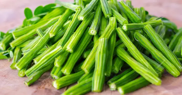 Pot un gos menjar espècies? El vostre gos té seguretat a la bossa?