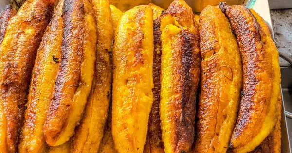 개가 바나나를 먹을 수 있습니까? 개 바나나는 안전합니까?