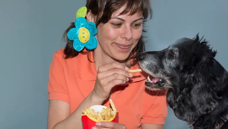 Mulher comendo batatas fritas com seu cachorro no Ticino, Suíça.' title=