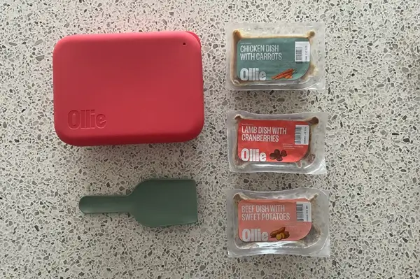 테이블 위에 있는 Ollie의 신선한 개밥 닭고기와 쇠고기 조리법을 보고 있는 하얀 푹신한 개