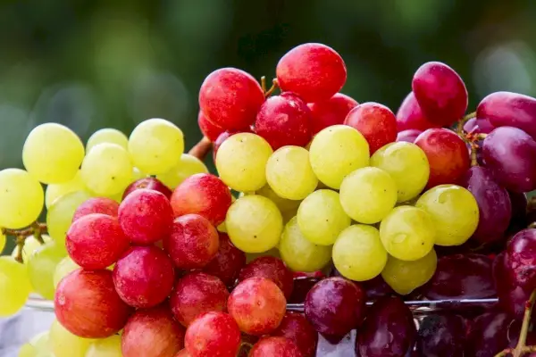 cacho de uvas