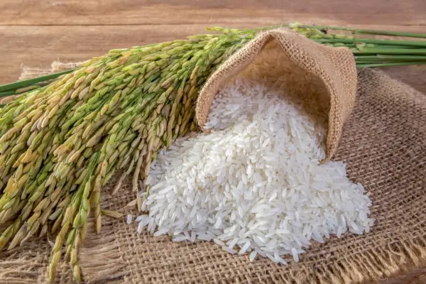 Foto della dottoressa Lorna Whittemore