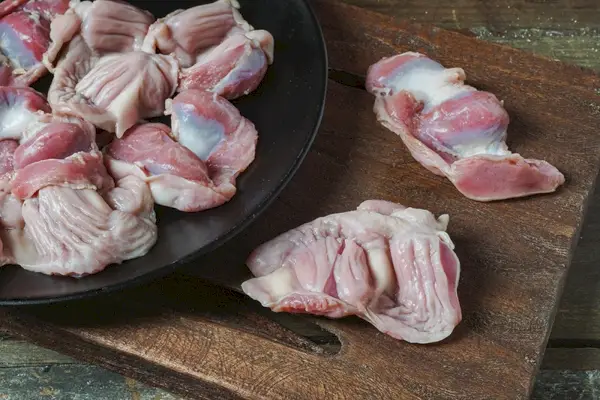 접시에 생닭 모래주머니