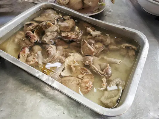 삶은 닭 모래주머니와 간