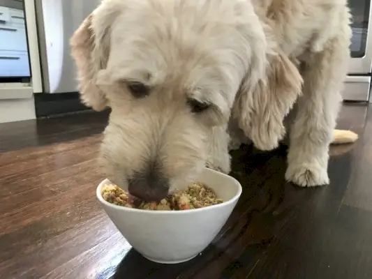 Finny geniet van haar The Farmer