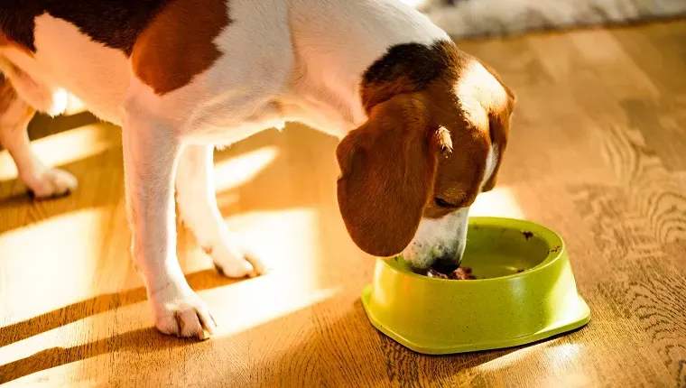 Foto scattata a Graz, Austria' title=