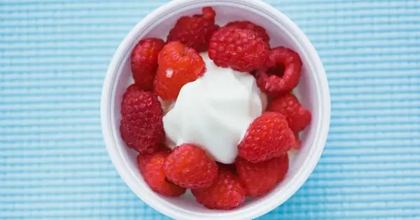 Kan en hund äta yoghurt? Hund?