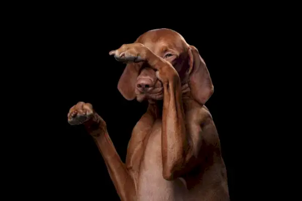 Fotografija dr. Lauren Demos