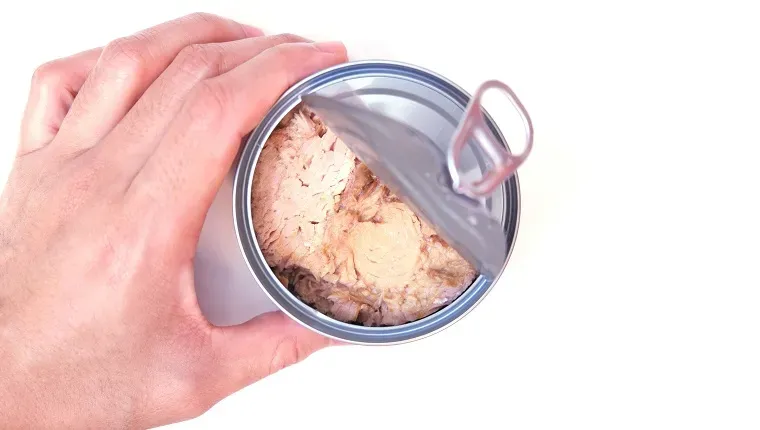 Foto Scattata A Bangkok Tailandia' title=